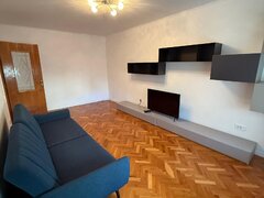 Lacul Tei, Grigore Ionescu