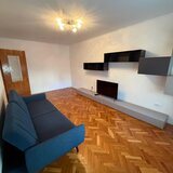 Lacul Tei, Grigore Ionescu